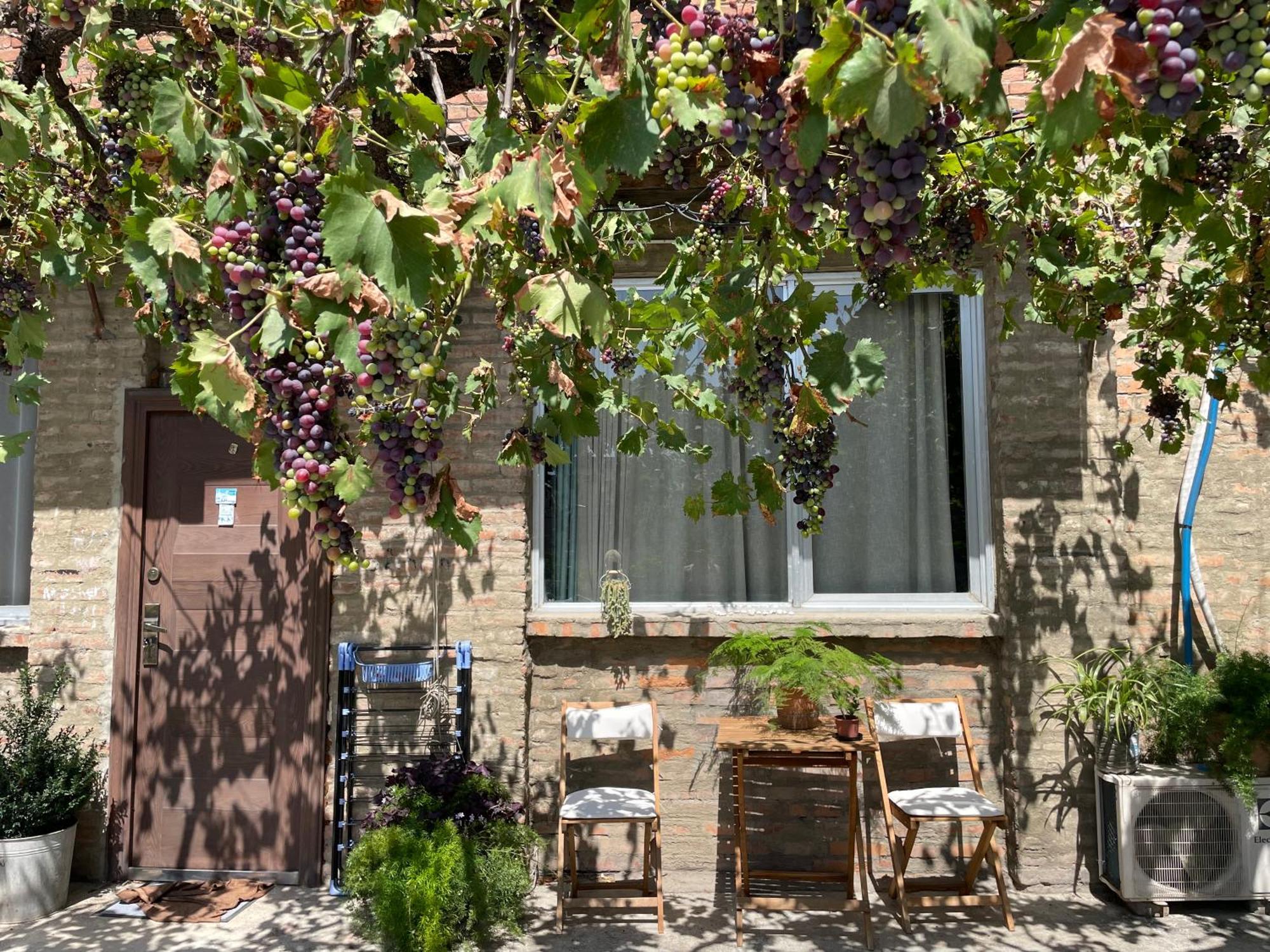 Talaveri Apartment In Old Tbilisi Exteriér fotografie